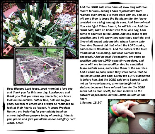 Photo Artist Susan Robertson (3) - Copy.JPG