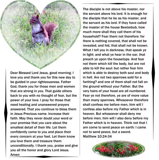 © Photo Artist Susan Ruth Robertson 09002500610 003 - Copy.JPG