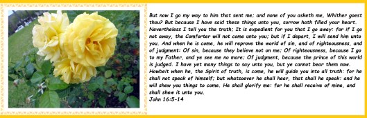 © Photo Artist Susan Ruth Robertson 09002500610 006 - Copy - Copy.JPG