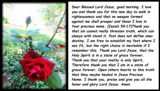 © Photo Artist Susan Ruth Robertson 09002500610 008 - Copy.JPG