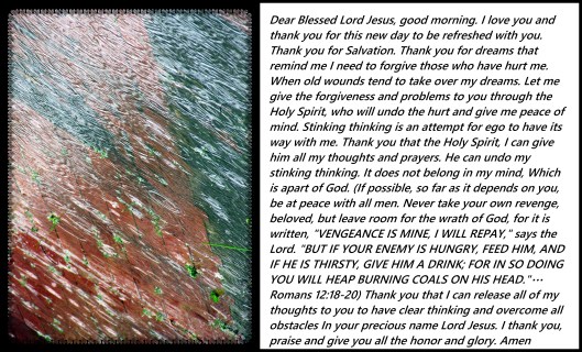 © Photo Artist Susan Ruth Robertson 09002500610 008.JPG