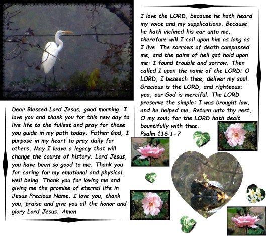 © Photo Artist Susan Ruth Robertson 09002500610 009 - Copy.JPG