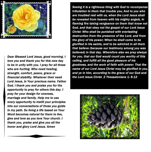 © Photo Artist Susan Ruth Robertson 09002500610 010 - Copy (2).JPG