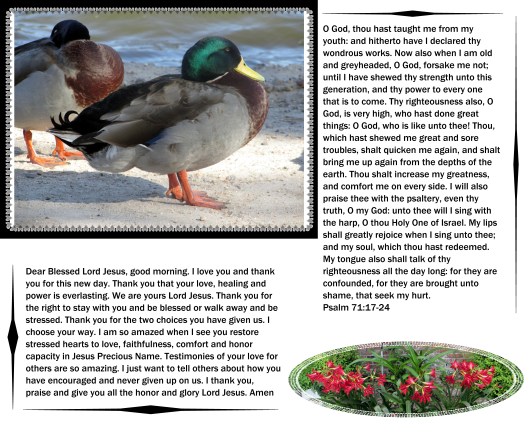 © Photo Artist Susan Ruth Robertson 09002500610 012 - Copy.JPG