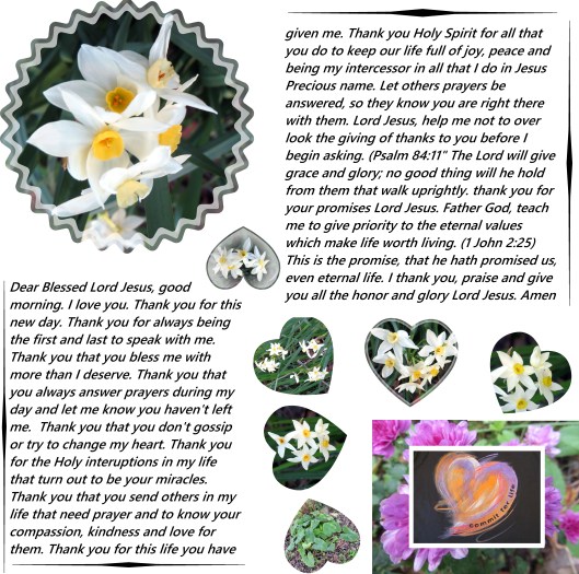 © Photo Artist Susan Ruth Robertson 09002500610 012 - Copy.JPG