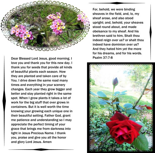 © Photo Artist Susan Ruth Robertson 09002500610 019 - Copy.JPG