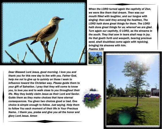 © Photo Artist Susan Ruth Robertson 09002500610 021 - Copy.JPG