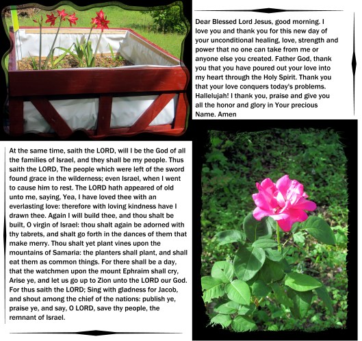 © Photo Artist Susan Ruth Robertson 09002500610 032 - Copy.JPG