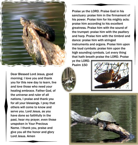 © Photo Artist Susan Ruth Robertson 09002500610 041 - Copy.JPG