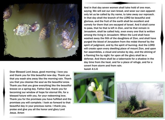 © Photo Artist Susan Ruth Robertson 09002500610 055 - Copy.JPG