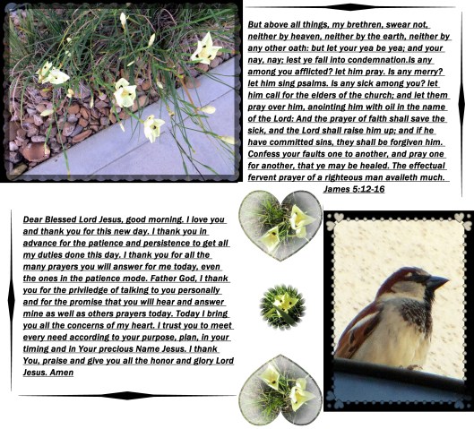 © Photo Artist Susan Ruth Robertson 09002500610 063 - Copy.JPG