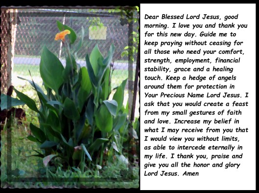 © Photo Artist Susan Ruth Robertson 09002500610 064 - Copy.JPG