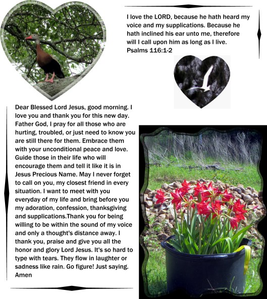 © Photo Artist Susan Ruth Robertson 09002500610 067 - Copy.JPG