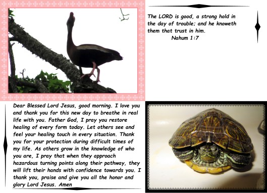 © Photo Artist Susan Ruth Robertson 09002500610 106 - Copy.JPG