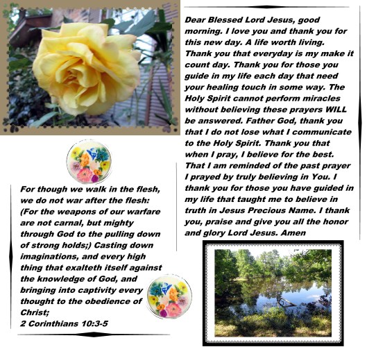 © Photo Artist Susan Ruth Robertson 090025006100 001 - Copy.JPG