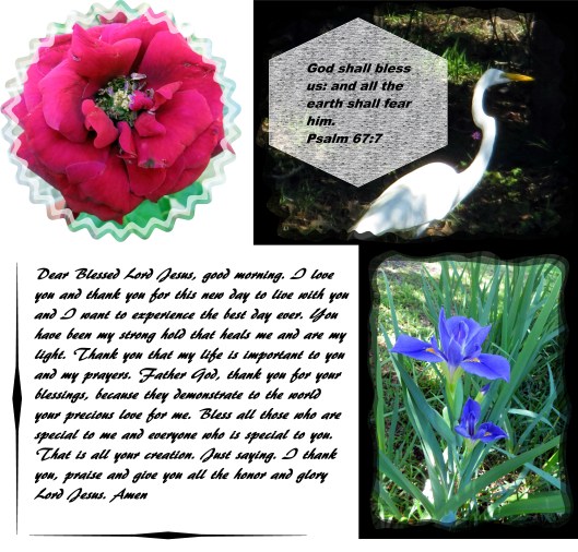 © Photo Artist Susan Ruth Robertson 090025006100 005 - Copy.JPG