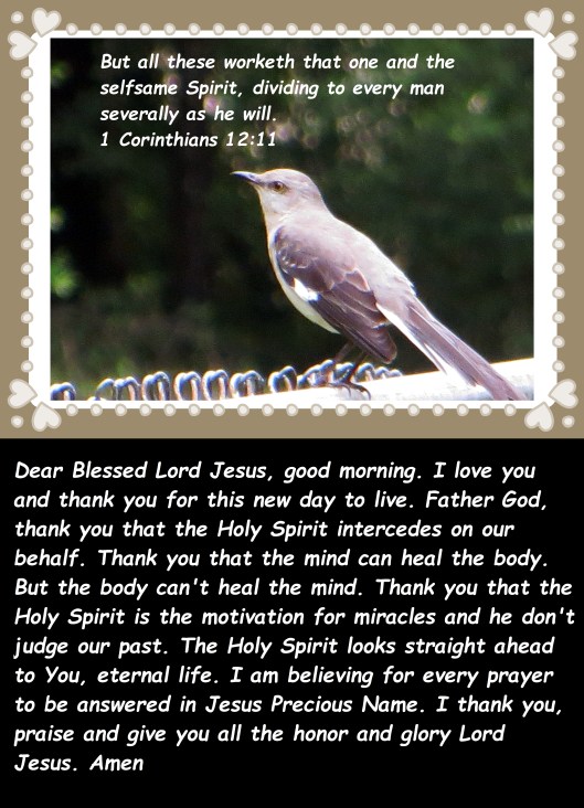 © Photo Artist Susan Ruth Robertson 090025006100 018 - Copy.JPG