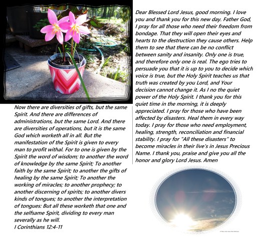 © Photo Artist Susan Ruth Robertson 090025006100 026 - Copy.JPG