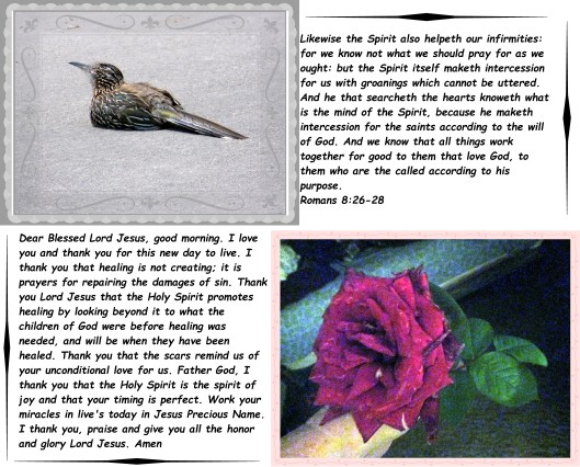 © Photo Artist Susan Ruth Robertson 090025006100 058.JPG