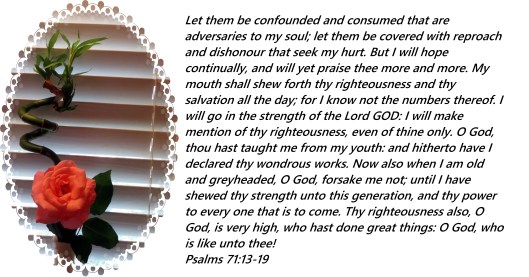 © Photo Artist Susan Ruth Robertson 090025006100Sx260 018