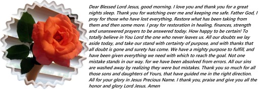 © Photo Artist Susan Ruth Robertson 090025006100Sx260 024 - Copy