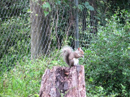 © Photo Artist Susan ruth Robertson 09002500100 002.JPG