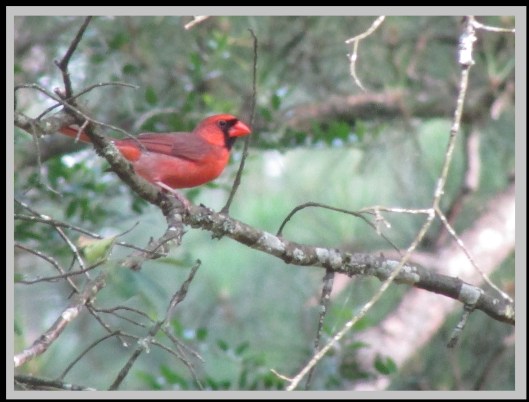 © Photo Artist Susan ruth Robertson 09002500100 014.JPG