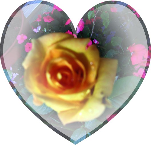 © Photo Artist Susan Ruth Robertson 090025006100 012.JPG