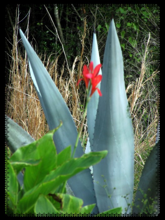 © Photo Artist Susan Ruth Robertson 090025006100 021.JPG