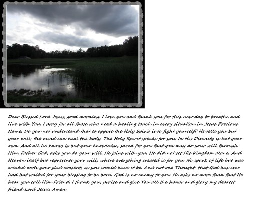 © Photo Artist Susan Ruth Robertson 090025006100 sx400 028 - Copy.JPG