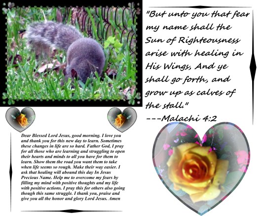 © Photo Artist Susan Ruth Robrtson 090025006100 006.JPG