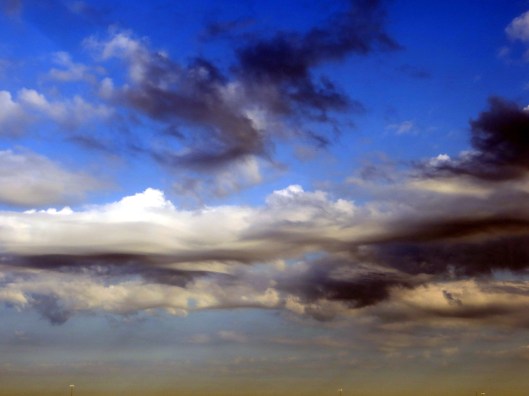 © Photo Artist Susan Ruth Robertson 090025006100 001.JPG