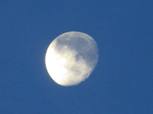 © Photo Artist Susan Ruth Robertson 090025006100 003.JPG