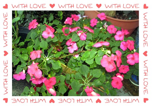 © Photo Artist Susan Ruth Robertson 090025006100 021.JPG
