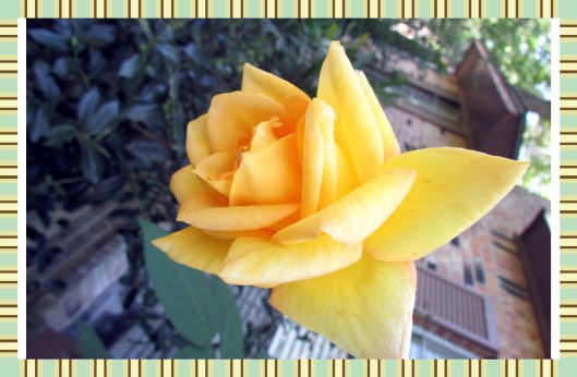 © Photo Artist Susan Ruth Robertson 090025006100 023.JPG