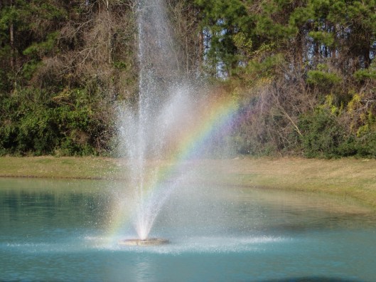 Photo Artist Susan Robertson all Rights Reserved 031.JPG