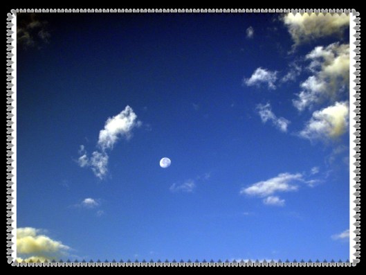 SX400 IS  © Photo Artist Susan Ruth Robertson 090025006100 001.JPG