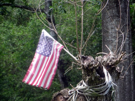 © Photo Artist Susan Ruth Robertson 090-025006100 013.JPG