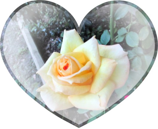 © Photo Artist Susan Ruth Robrtson 090025006100 019.JPG