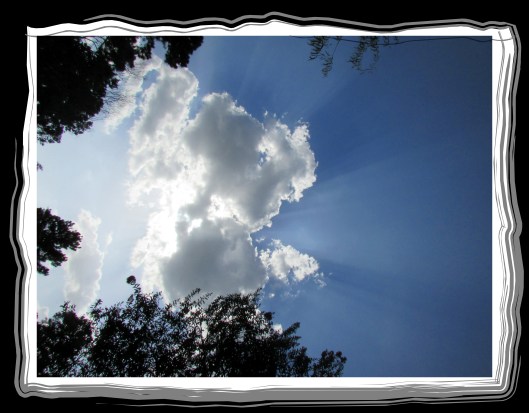 SX400 IS © Photo Artist Susan Ruth Robertson 090025006100 016.JPG