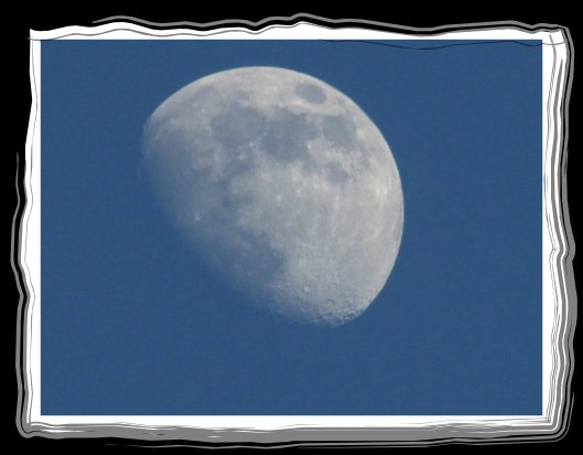 SX400 IS © Photo Artist Susan Ruth Robertson 090025006100 021.JPG