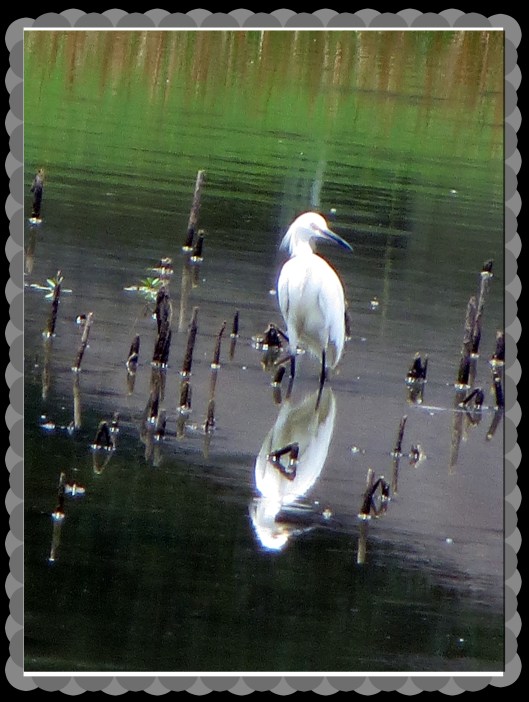 © Photo Artist Susan Ruth Robertson 090025006100 002.JPG