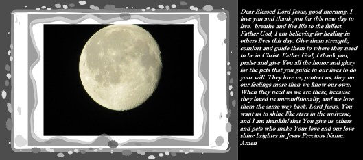 © Photo Artist Susan Ruth Robertson 090025006100 005 - Copy.JPG