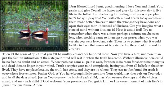 © Photo Artist Susan Ruth Robertson 090025006100 014 - Copy.JPG