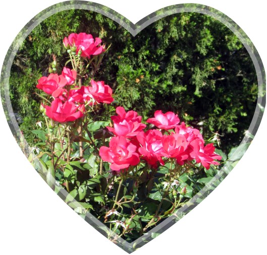 © Photo Artist Susan Ruth Robertson 090025006100 (124).JPG