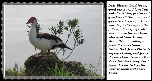 © Photo Artist Susan Ruth Robertson 090025006100 (62).JPG