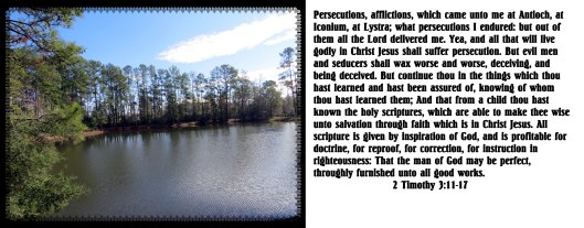 lakepictures1 012 - Copy (2)