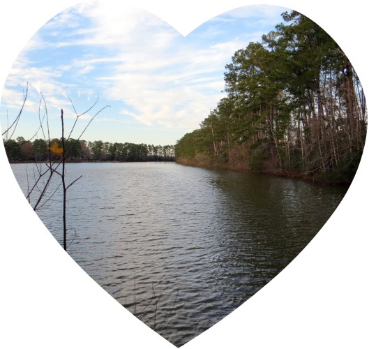 Photo Artist Susan Robertson (14).JPG