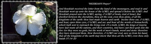 photo-artist-susan-ruth-robertson-090025006100-002-copy