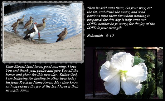 © Photo Artist Susan Ruth Robertson 090025006100 003 - Copy.JPG